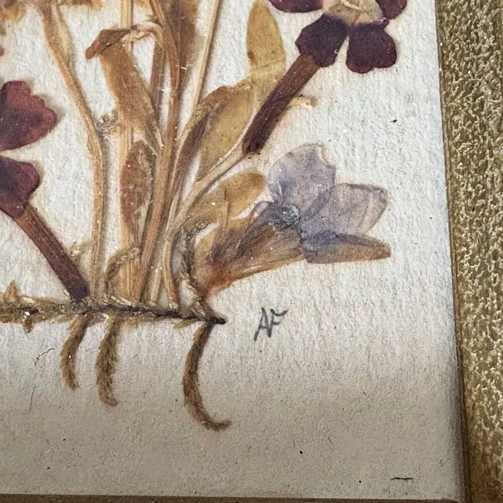 Set Vintage Pressed Flower Framed East Germany 7.5”x2.75” Cottage Core Signed